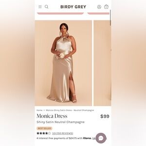 Birds grey Monica dress in shiny satin neutral champagne color